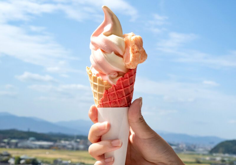 篠栗町　やまやファクトリーテラス　めんたいソフトクリーム