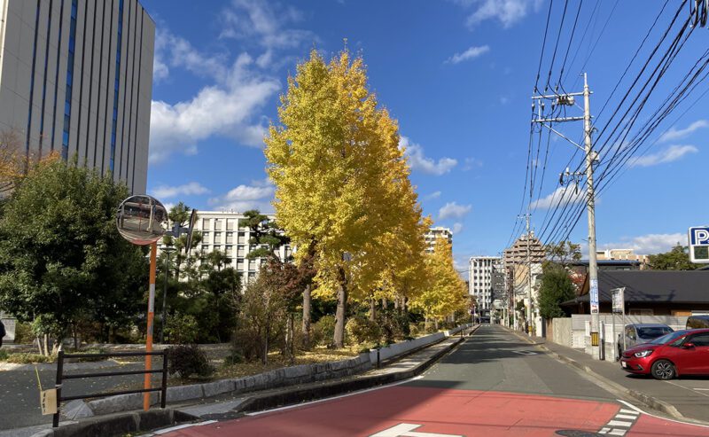 六本松ストリート