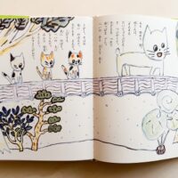 ねこじたなのにお茶がすき