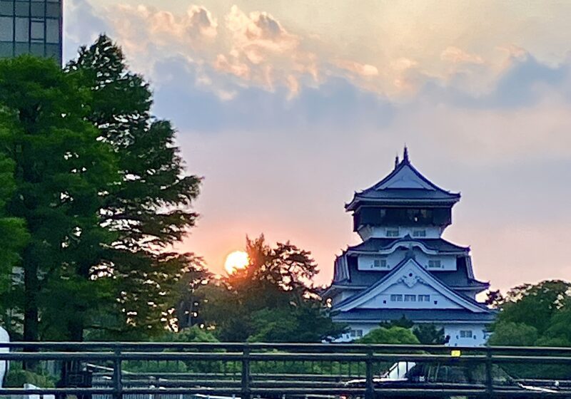 ビオラ_小倉城