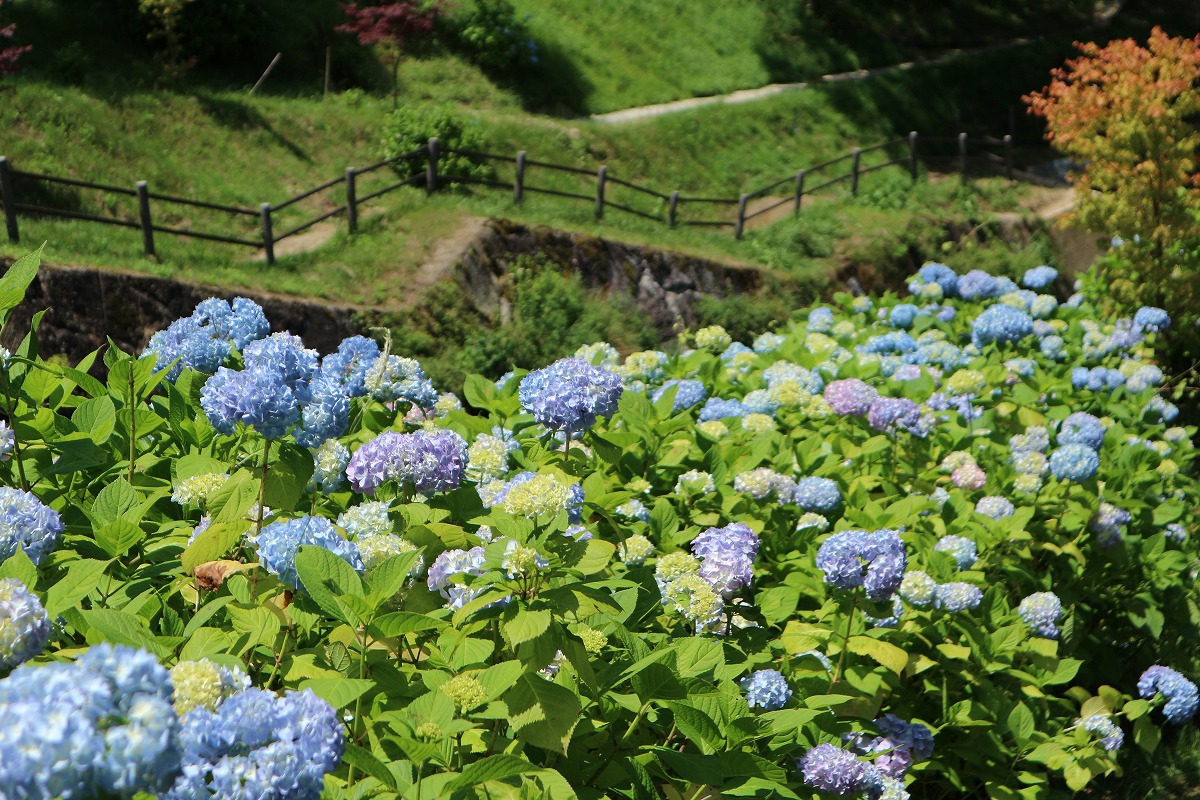 白糸の滝