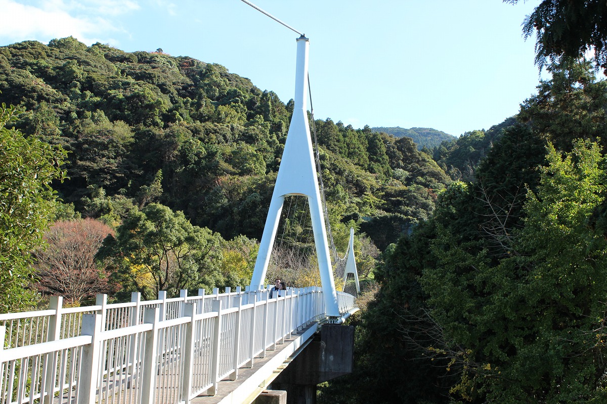 ゆらりんこ橋
